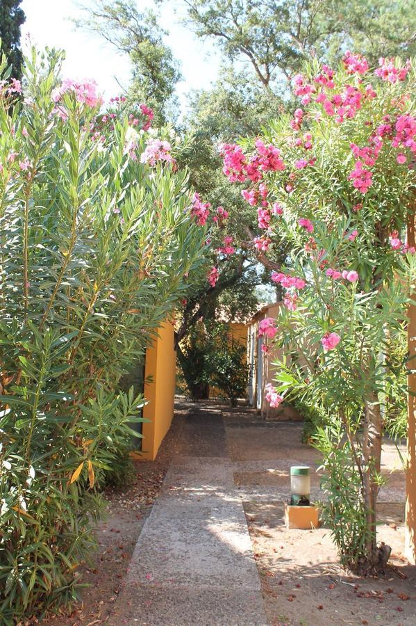 Adonis Borgo - Résidence Cala Bianca Borgo (Corsica) Exterior foto