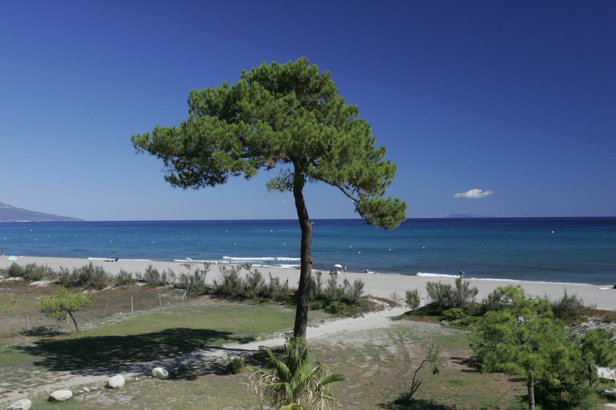 Adonis Borgo - Résidence Cala Bianca Borgo (Corsica) Exterior foto
